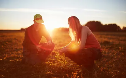 Par på fält i solstrålar