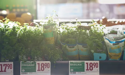 Fresh herbs in Willys store